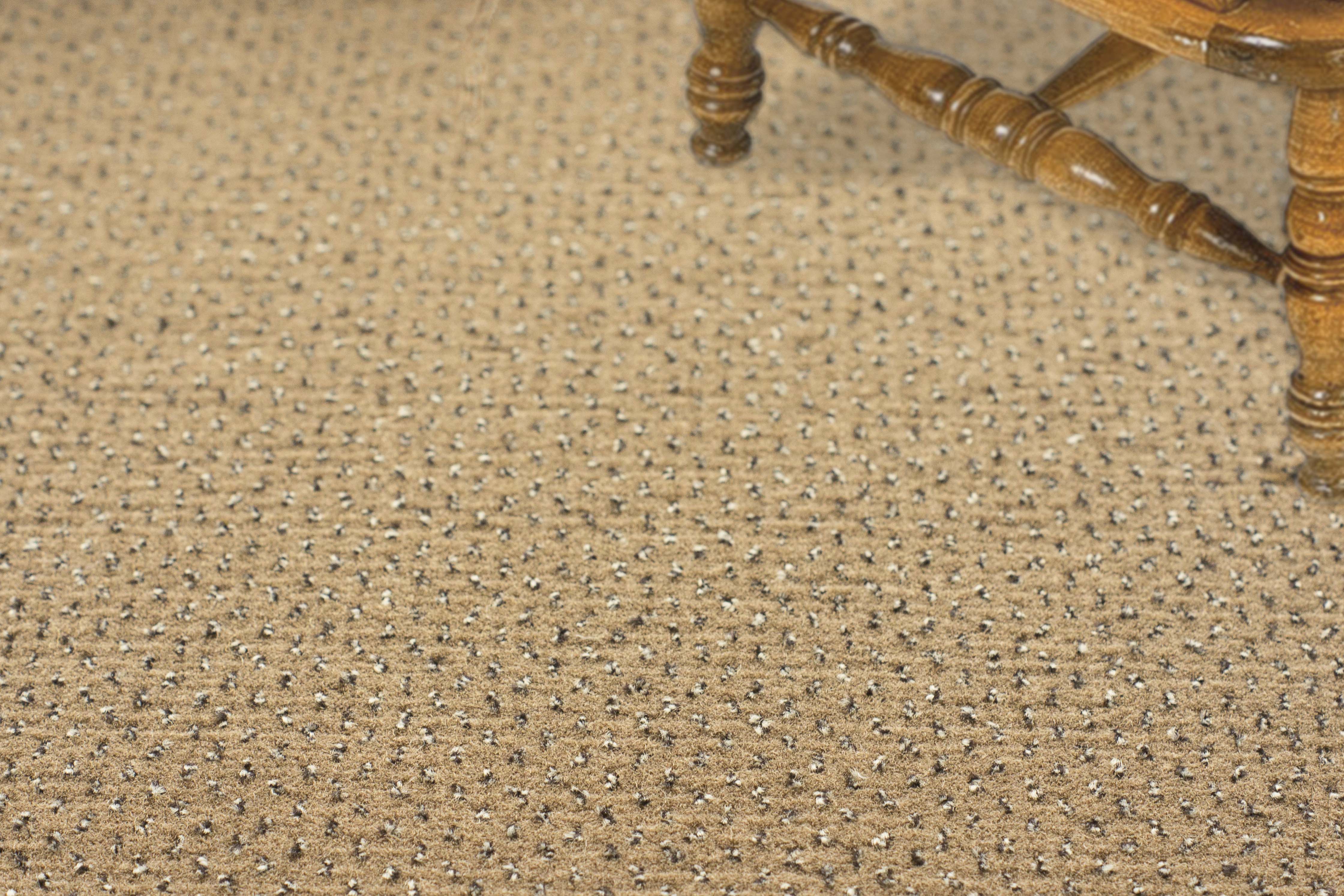 Ковролин "Зартекс" Eternity 142 бежевый (4м) — купить в Южно-Сахалинске